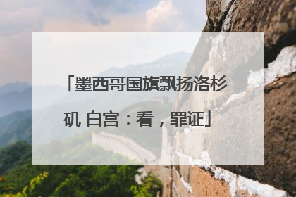 墨西哥国旗飘扬洛杉矶 白宫：看，罪证